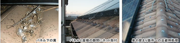 パネル下の糞・パネルと屋根の隙間にネット取付・巣や留まり箇所への忌避剤処理